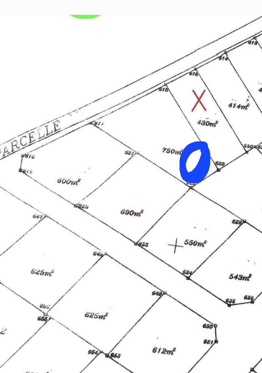 Sousse Jaouhara Sousse Khezama Terrain Terrain nu Terrain constructible 750m2 khezama sousse