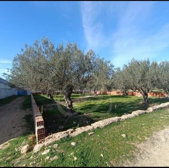 Hammamet Hammamet Vente Surfaces Terrain zone ribat hammamet