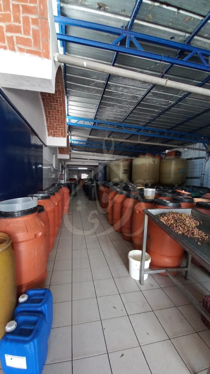 Hammamet Sidi Hmed Vente Autre Usine  hammamet sud