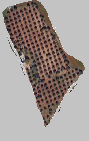 Mnihla Cite Ali Bourguiba Terrain Terrain agricole Terrain agricole lot num 9