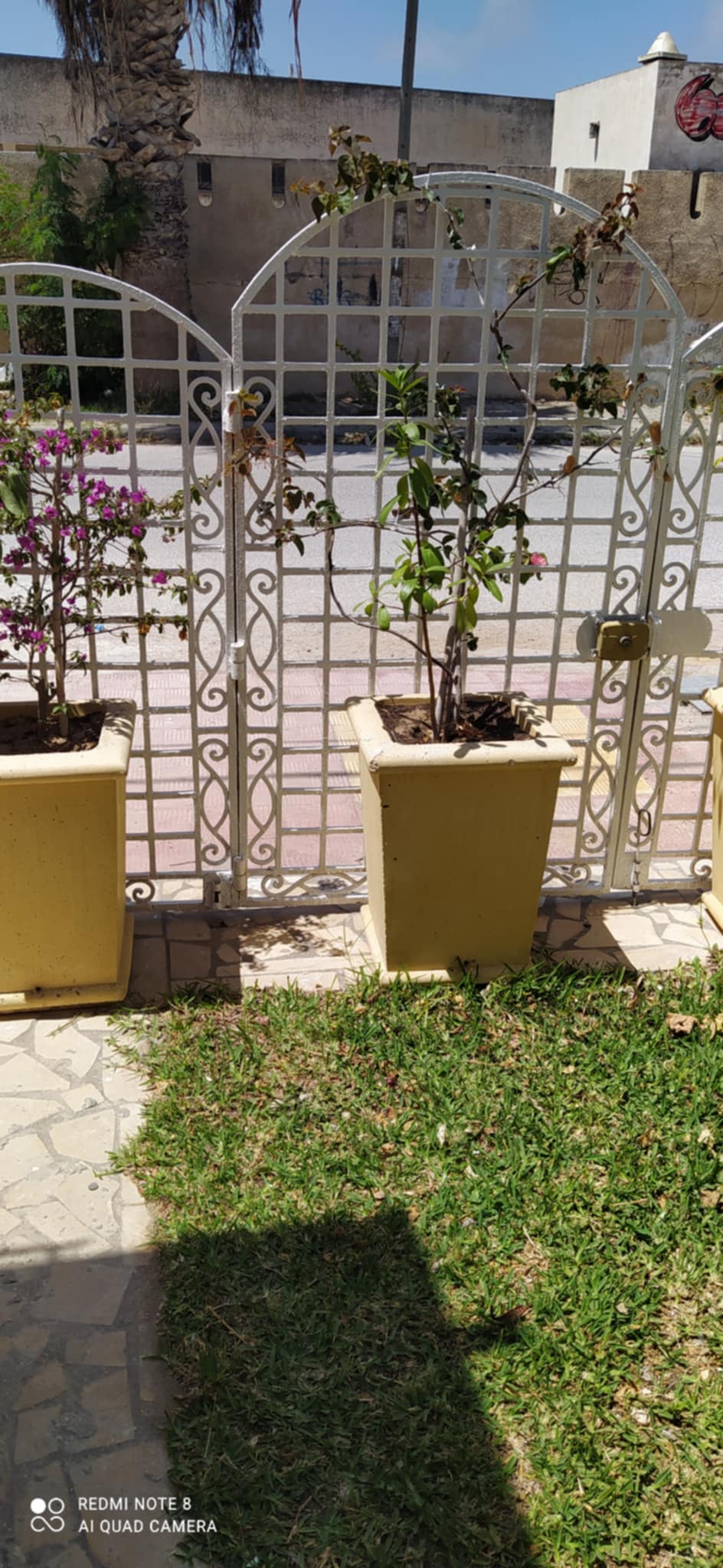 Korba Korba Location vacances Maisons Petite maisonnette  5 min  pied de la plage