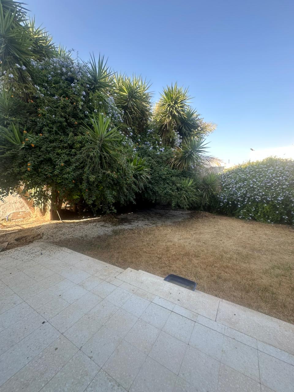 El Menzah El Menzah 9 Location Maisons Une villa de luxe  menzah 9