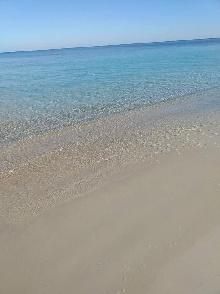 Hammam El Ghezaz Ezzahra Terrain Terrain agricole Terrain avec faade sur mer a ezzahra