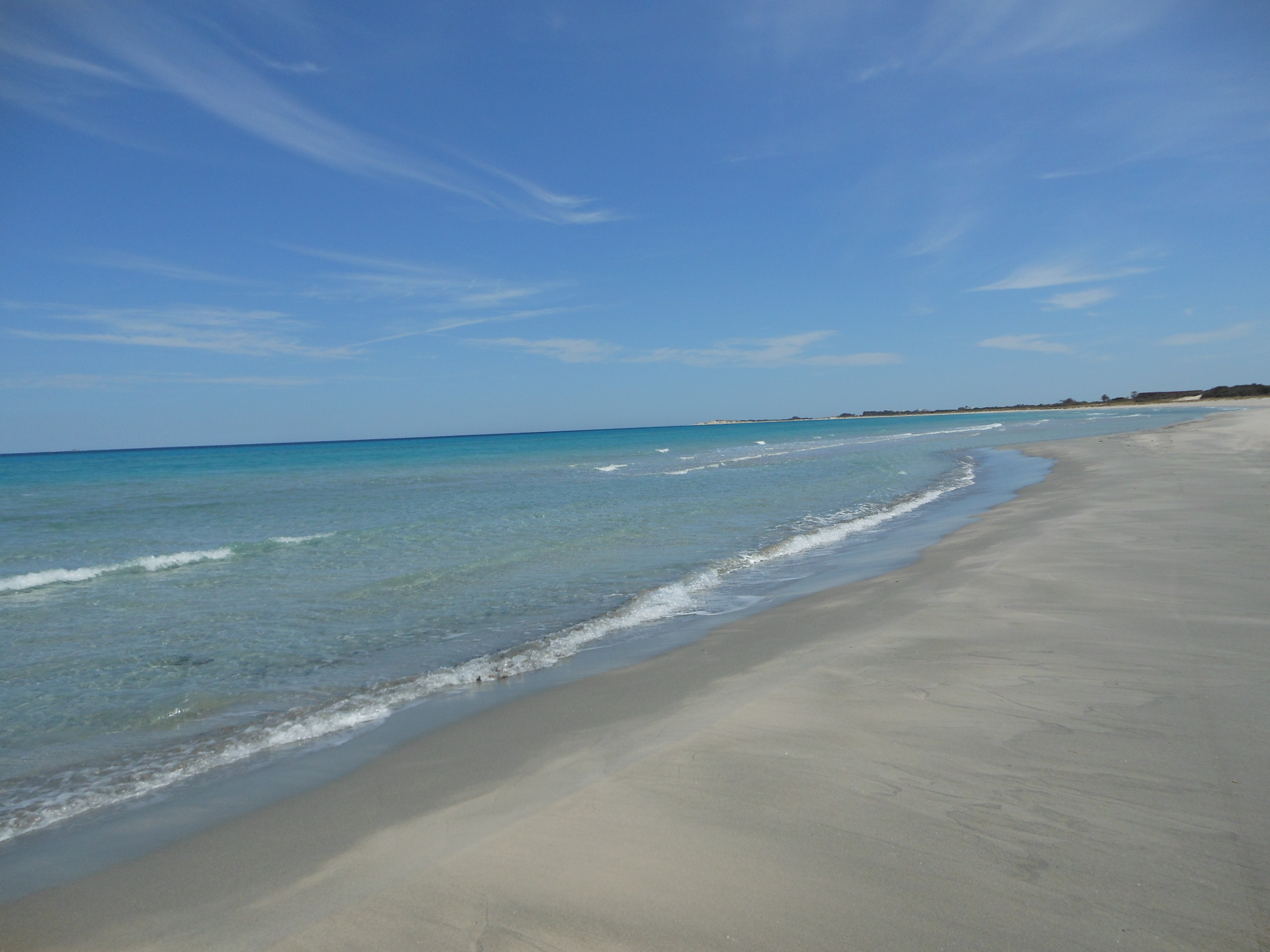 Kelibia Dar Allouche Terrain Terrain nu 1  hectare au bord de la mer