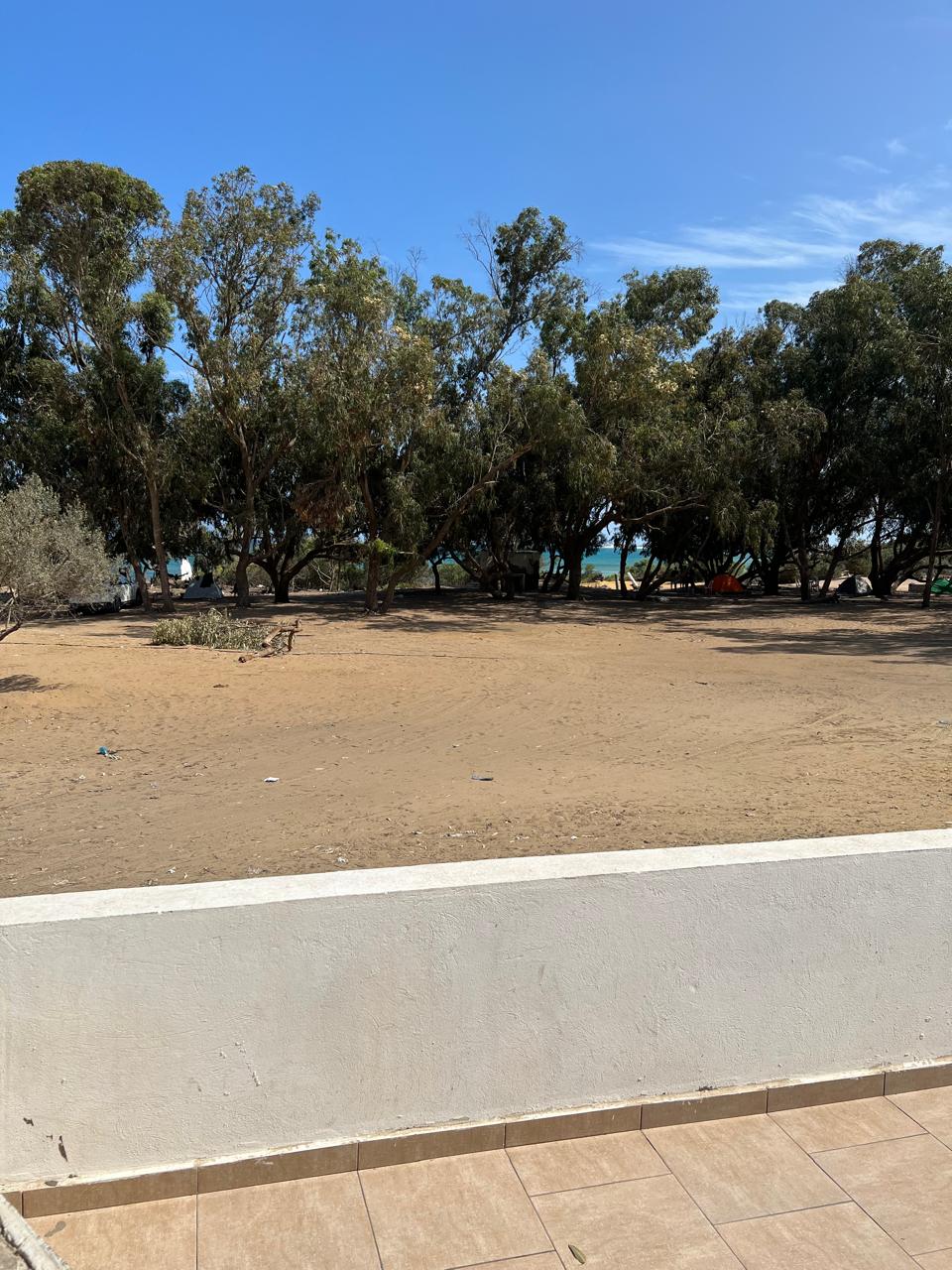 El Haouaria El Haouaria Terrain Terrain agricole Bonne affaire de 1 hectare cot haouaria