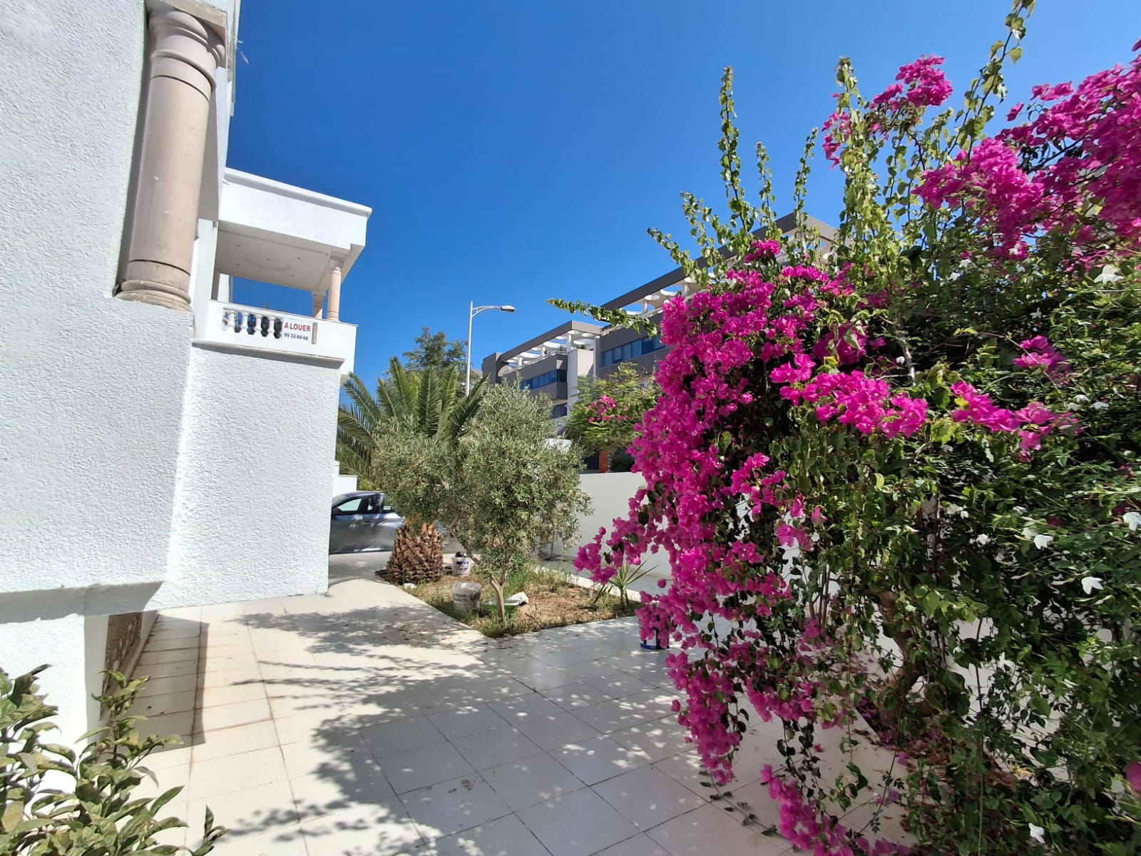 La Marsa Berge Du Lac Location Maisons Superbe villa