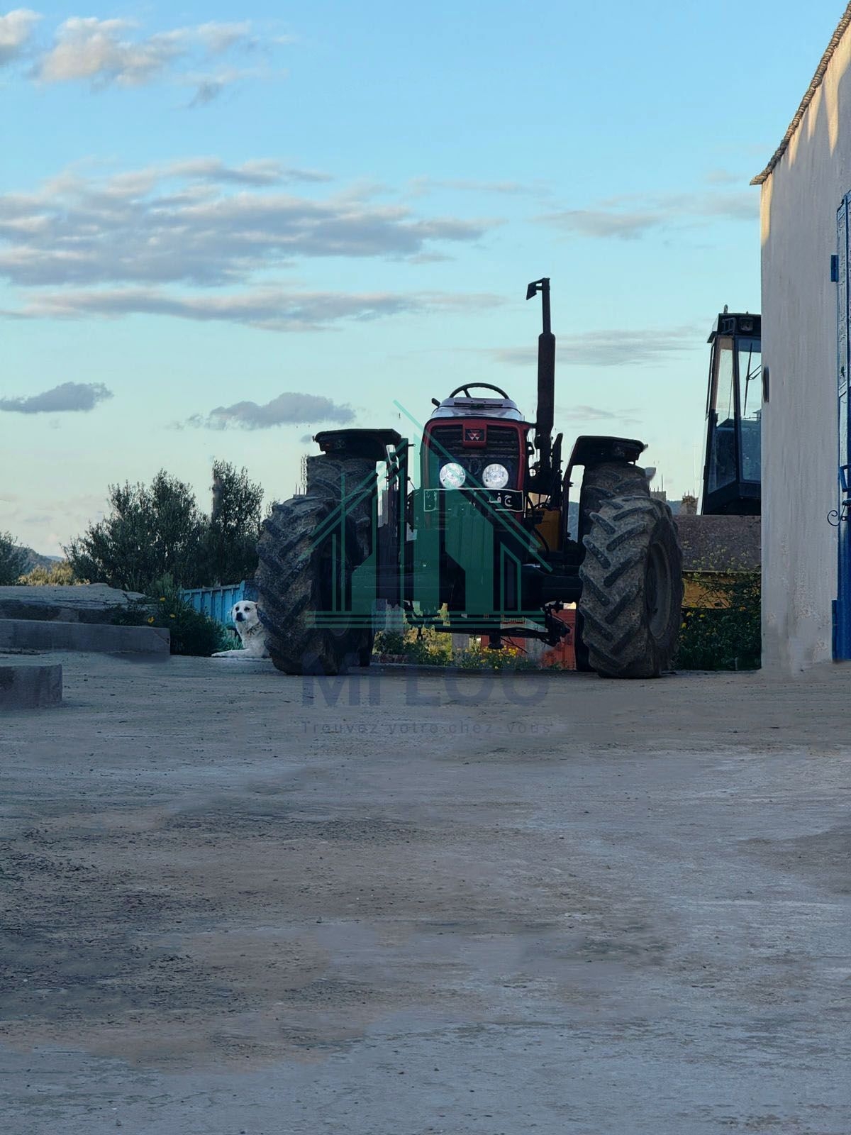 Zaghouan Zaghouan Terrain Terrain agricole Ferme agrocologique de 20 hectares  zaghouan