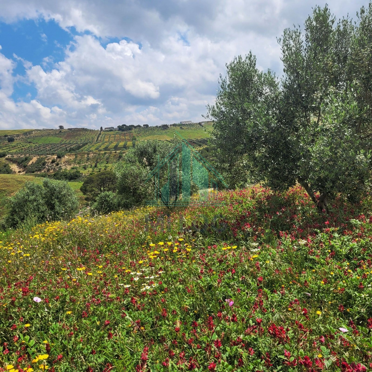 Zaghouan Zaghouan Terrain Terrain agricole Ferme agrocologique de 20 hectares  zaghouan