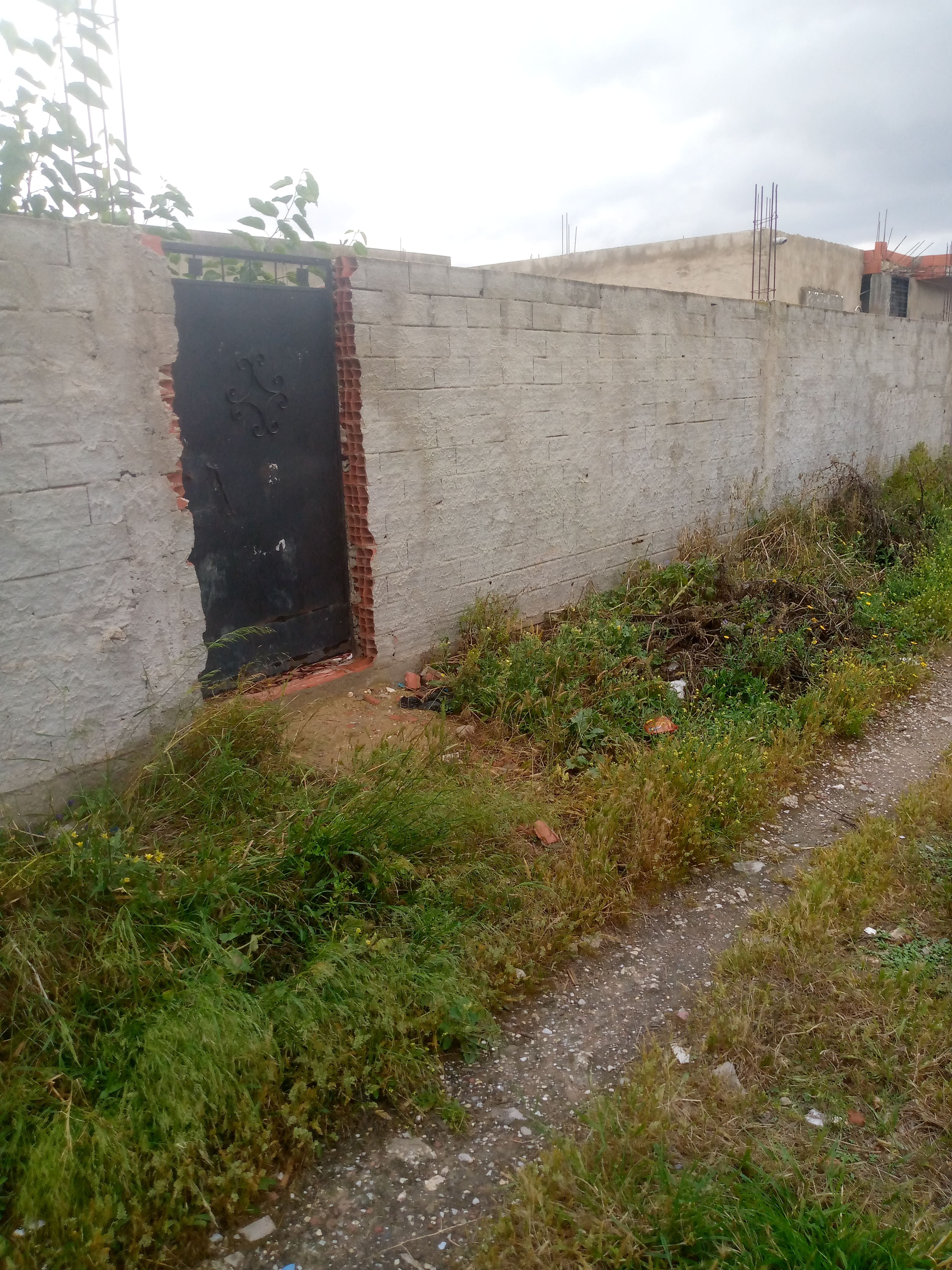 Oued Ellil Oued Ellil Terrain Terrain nu Terrain situ a gobaa