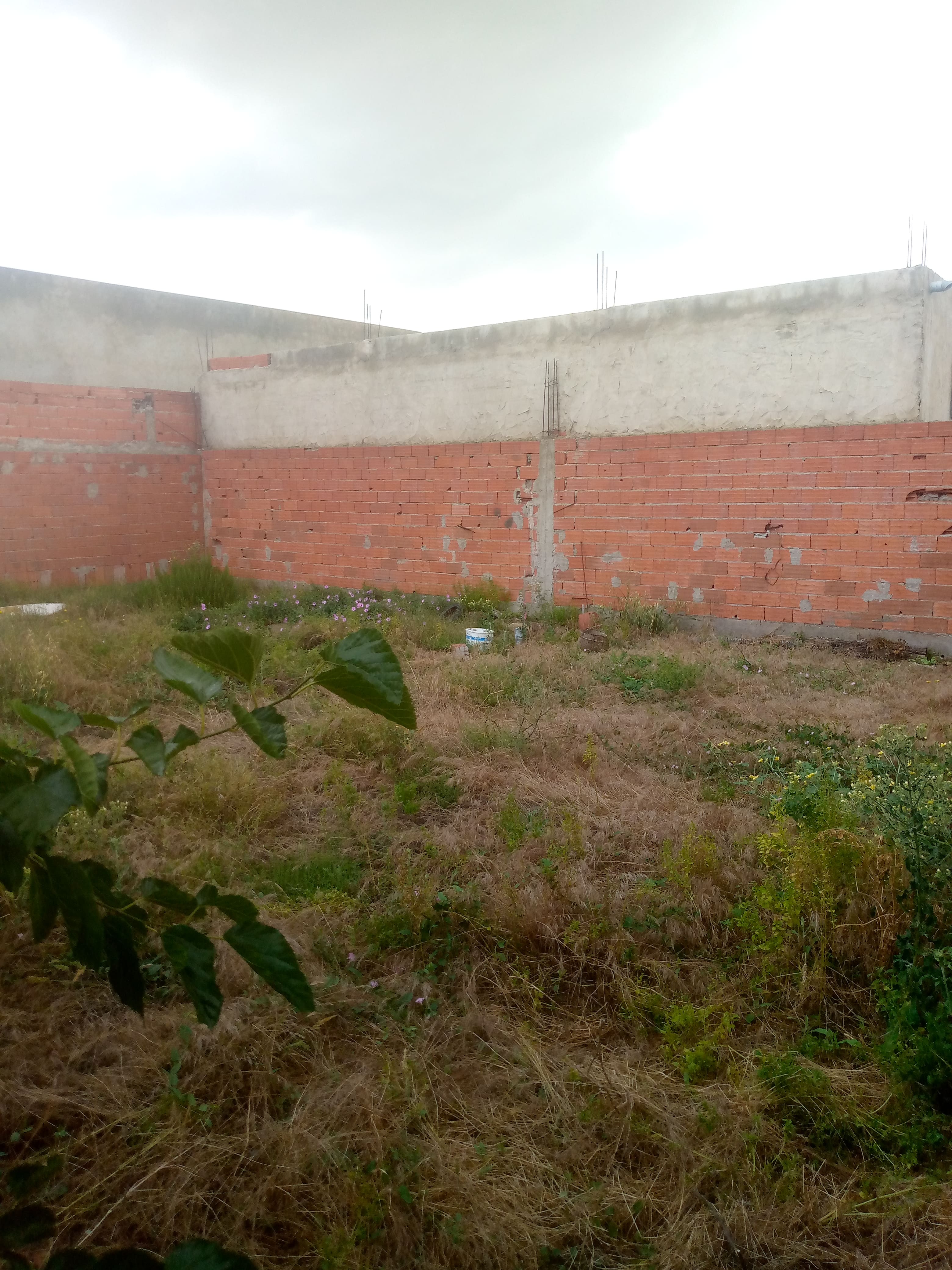 Oued Ellil Oued Ellil Terrain Terrain nu Terrain situ a gobaa