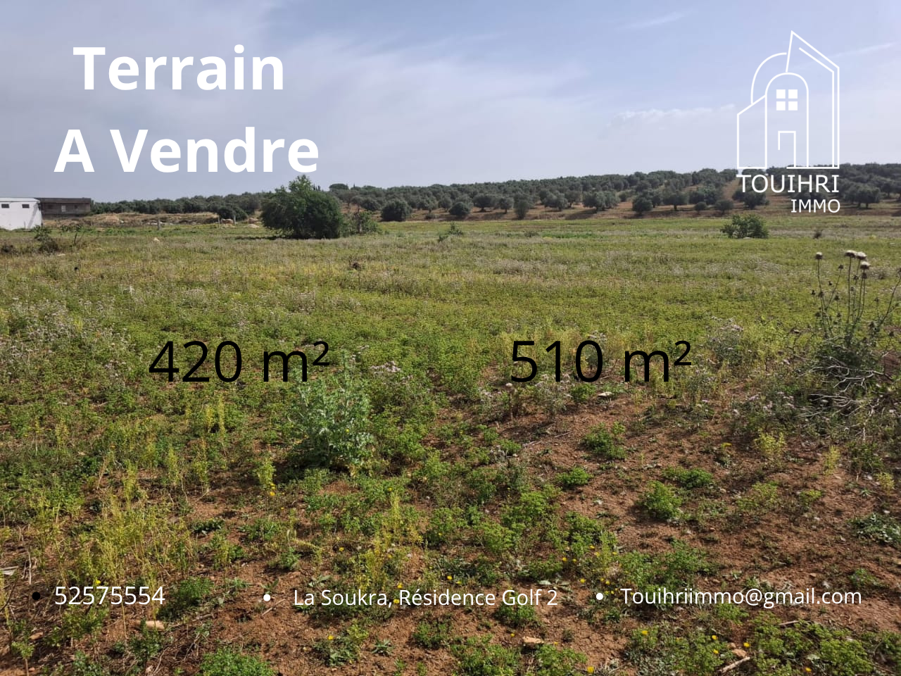 Mnihla Essanhaji Terrain Terrain nu Terrain ariana mnihla