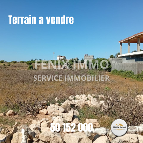 Kelibia Kelibia Terrain Terrain nu Terrain  route de la plage mansoura  klibia