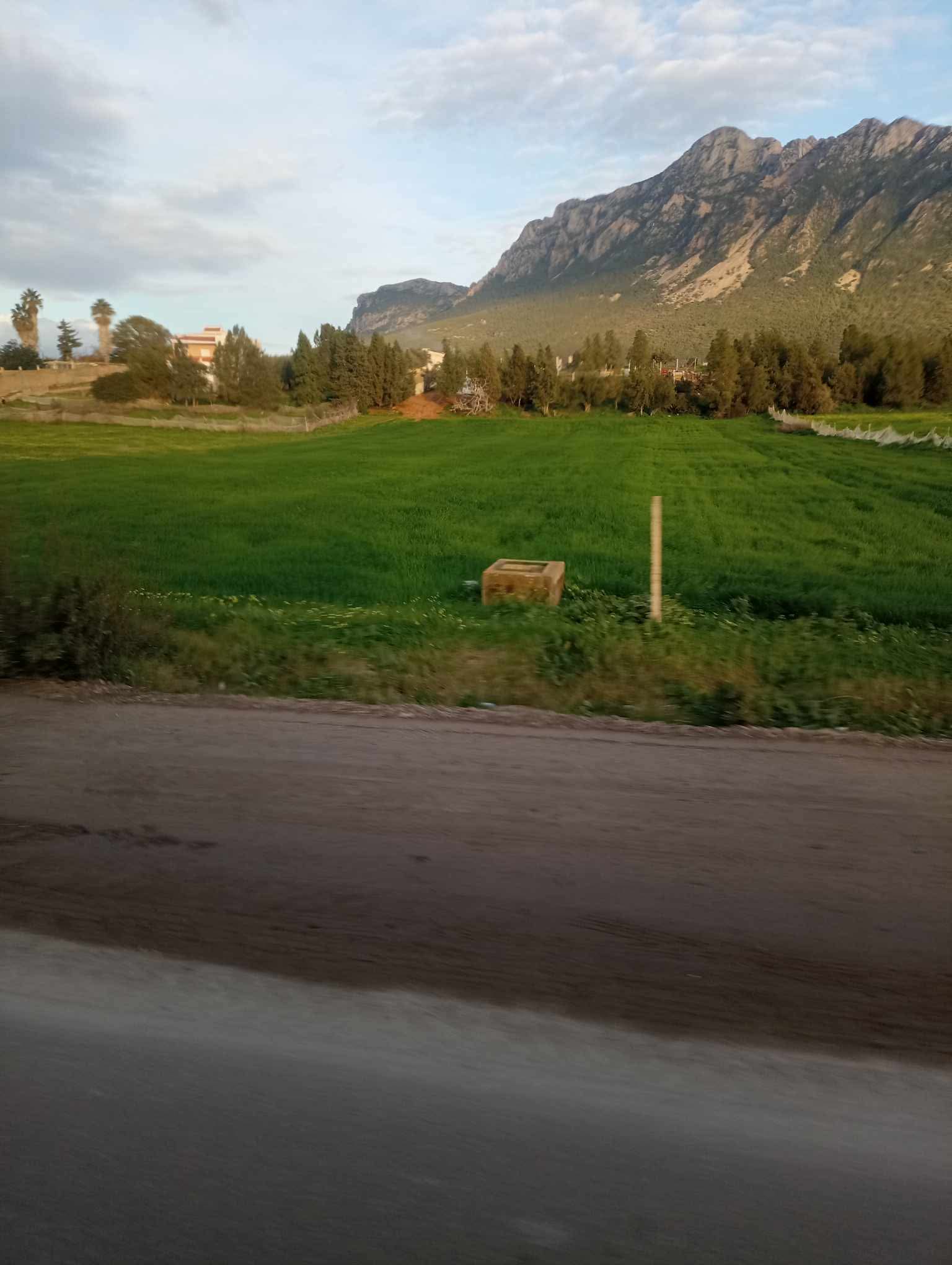 Mornag Jebel Ersass Vente Autre Titre 4544555567