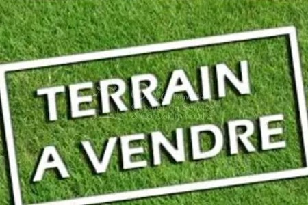 Rades Rades Foret Terrain Terrain nu Particulier