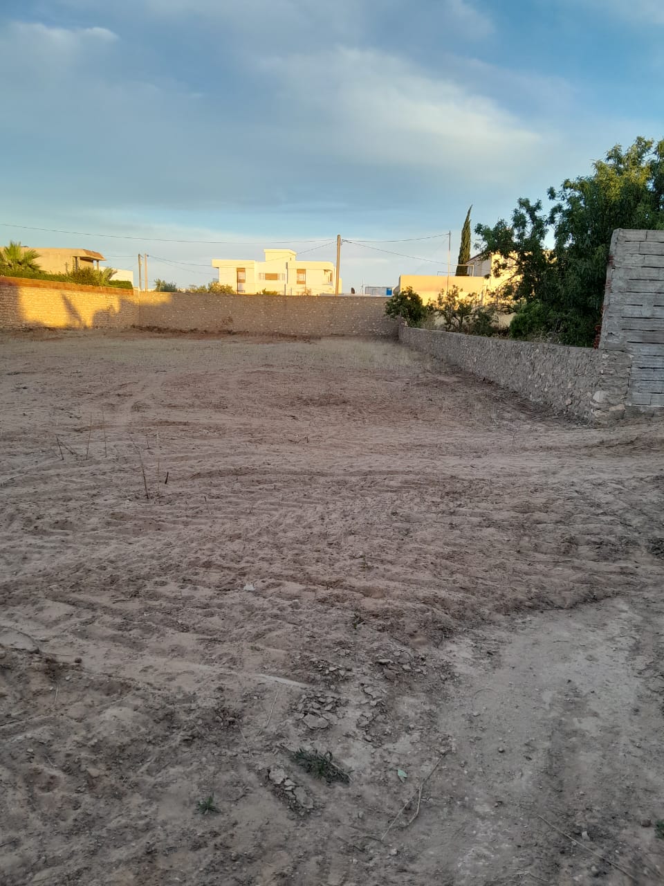 Sakiet Ezzit Sakiet Ezzit Terrain Terrain nu Terrain nu cltur 1090 m2 sakiet ezzit essedra
