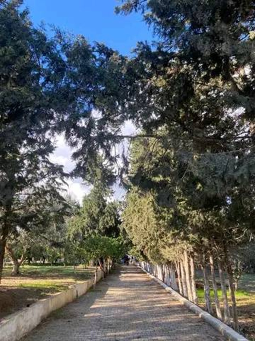 Hammamet Bir Bouregba Location vacances Appart. 2 pices Maison de campagne
