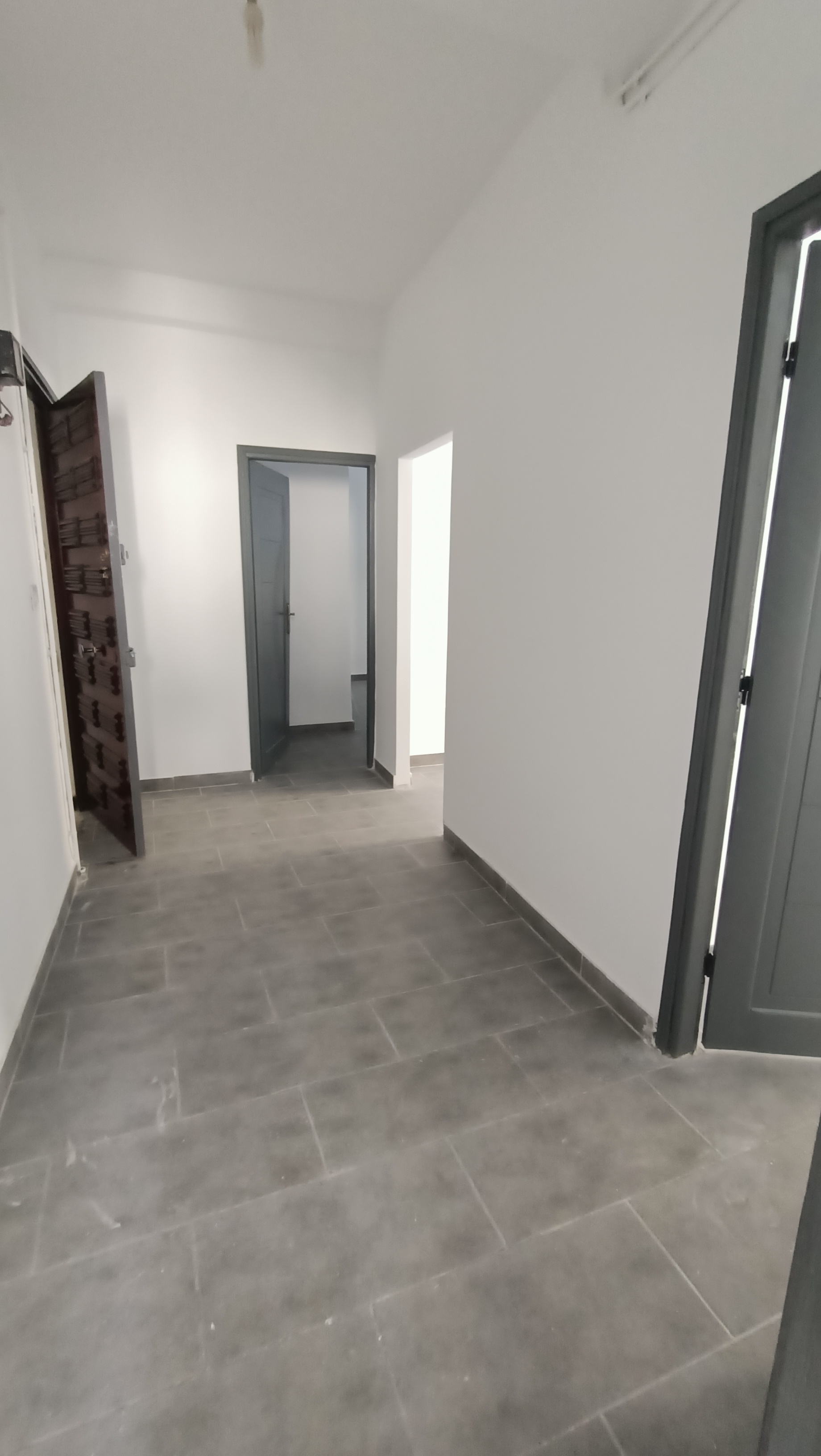 Bab Souika Bab El Khadra Location Appart. 1 pice Appartement s1 avenue madrid