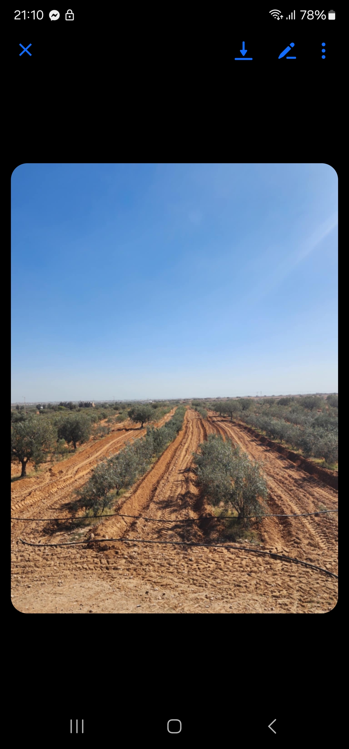 Sfax Sud El Hajeb Terrain Terrain agricole Terrain de 70 000 m2 a sfax