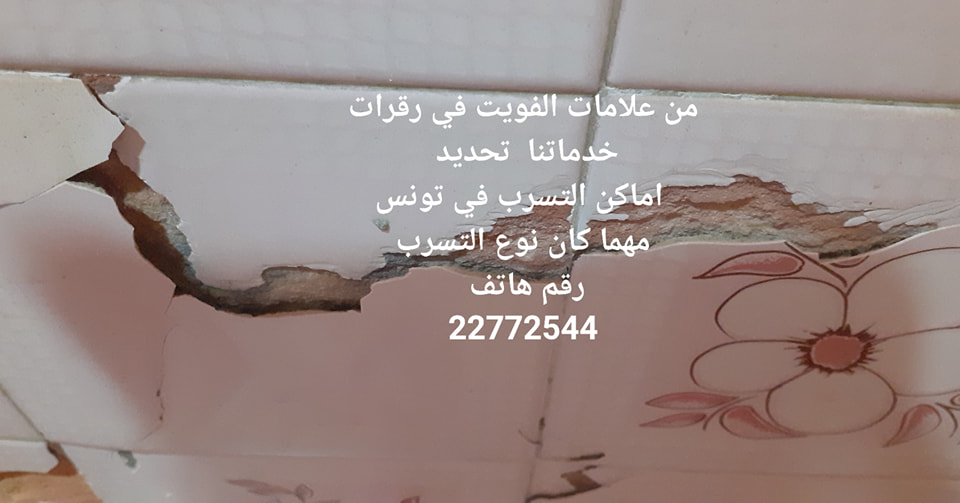 Bembla Bembla Autre Autre Dtection de fuite eau sans casse tunisie