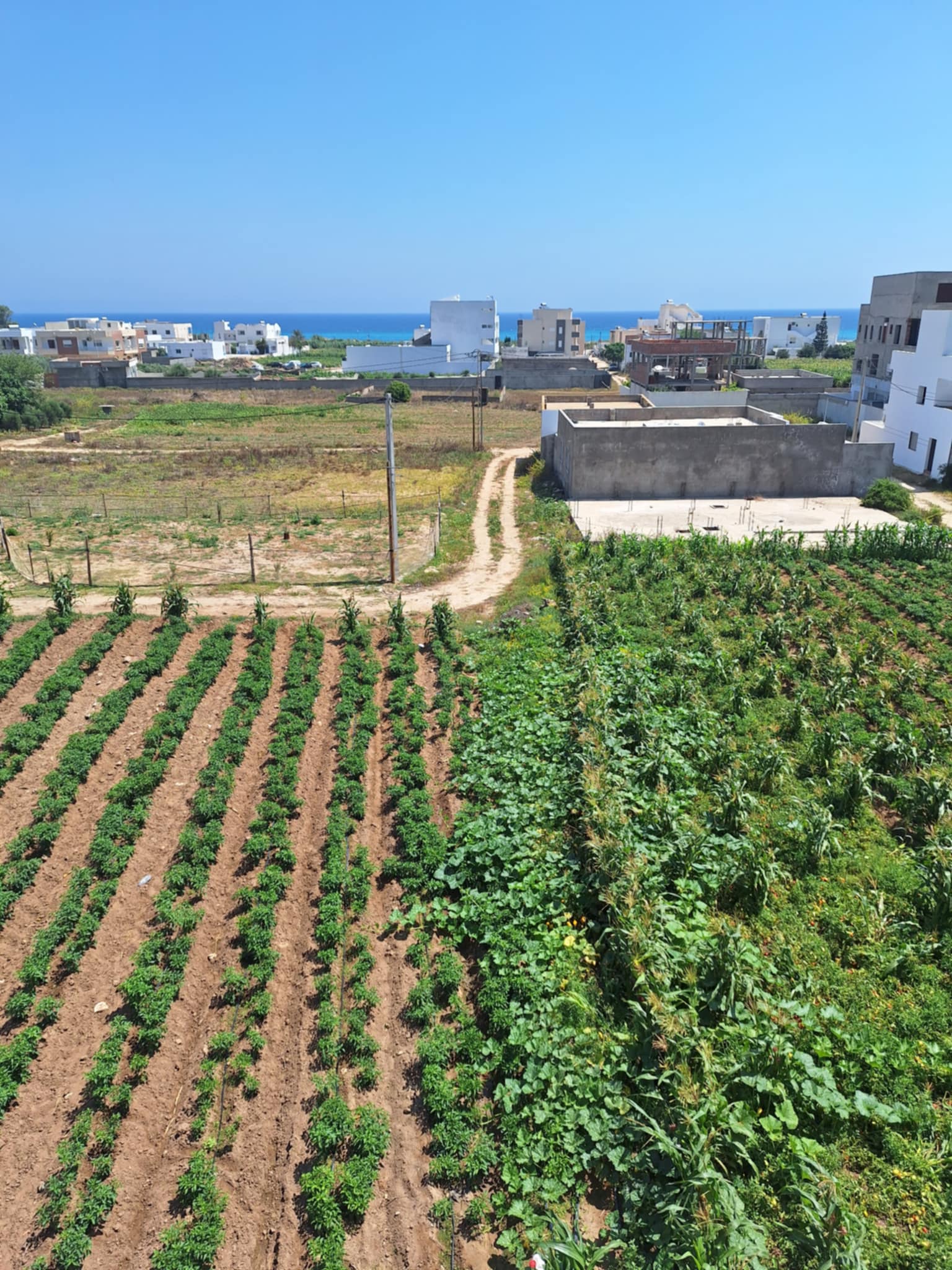 Kelibia Dar Allouche Location vacances Appart. 2 pices S1  dar allouche  350m de la plage