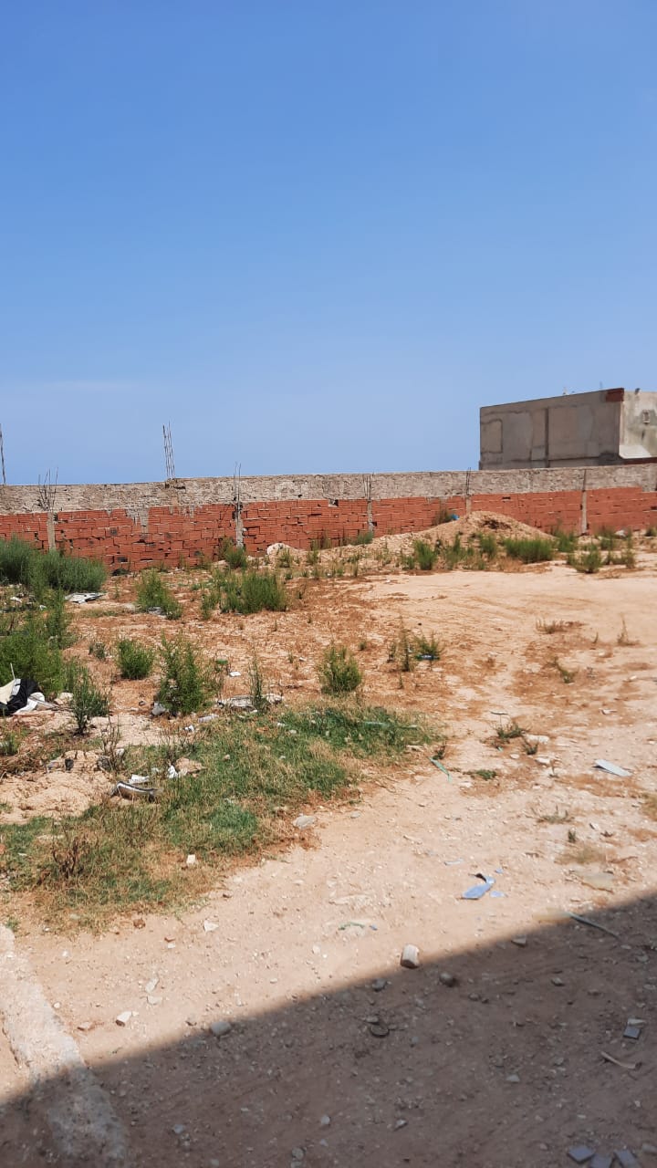 Raoued Cite Des Juges Vente Surfaces Terrain  raoued
