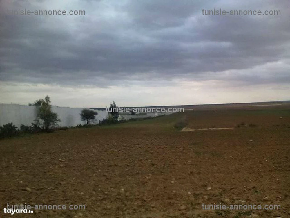 Hergla Hergla Terrain Terrain nu Occasion  ne pas rater  hergla