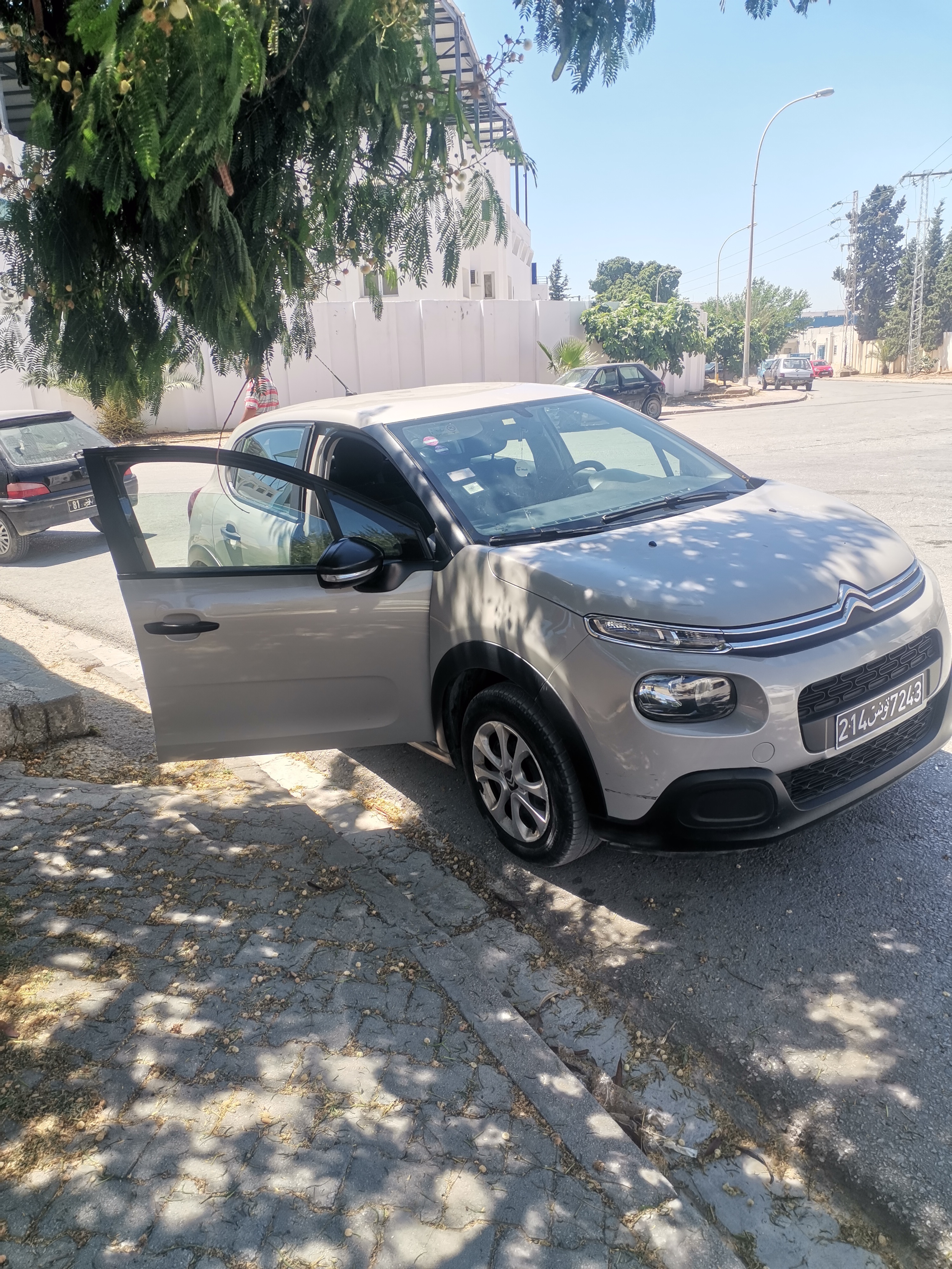 Mannouba La Mannouba Citroen C3 Voiture c3
