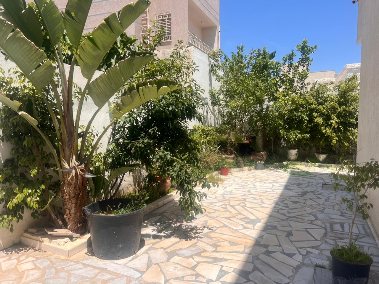 Raoued Cite El Ghazala 1 Vente Maisons Une villa avec piscine  el ghazela