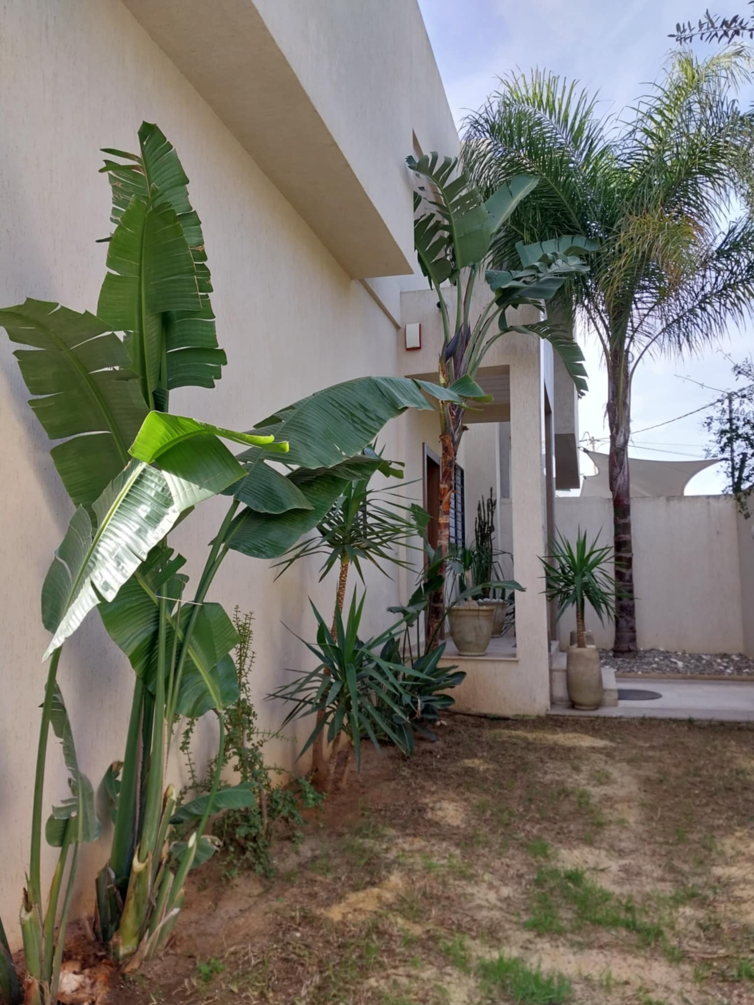 La Soukra La Soukra Vente Maisons Villa  haute standing