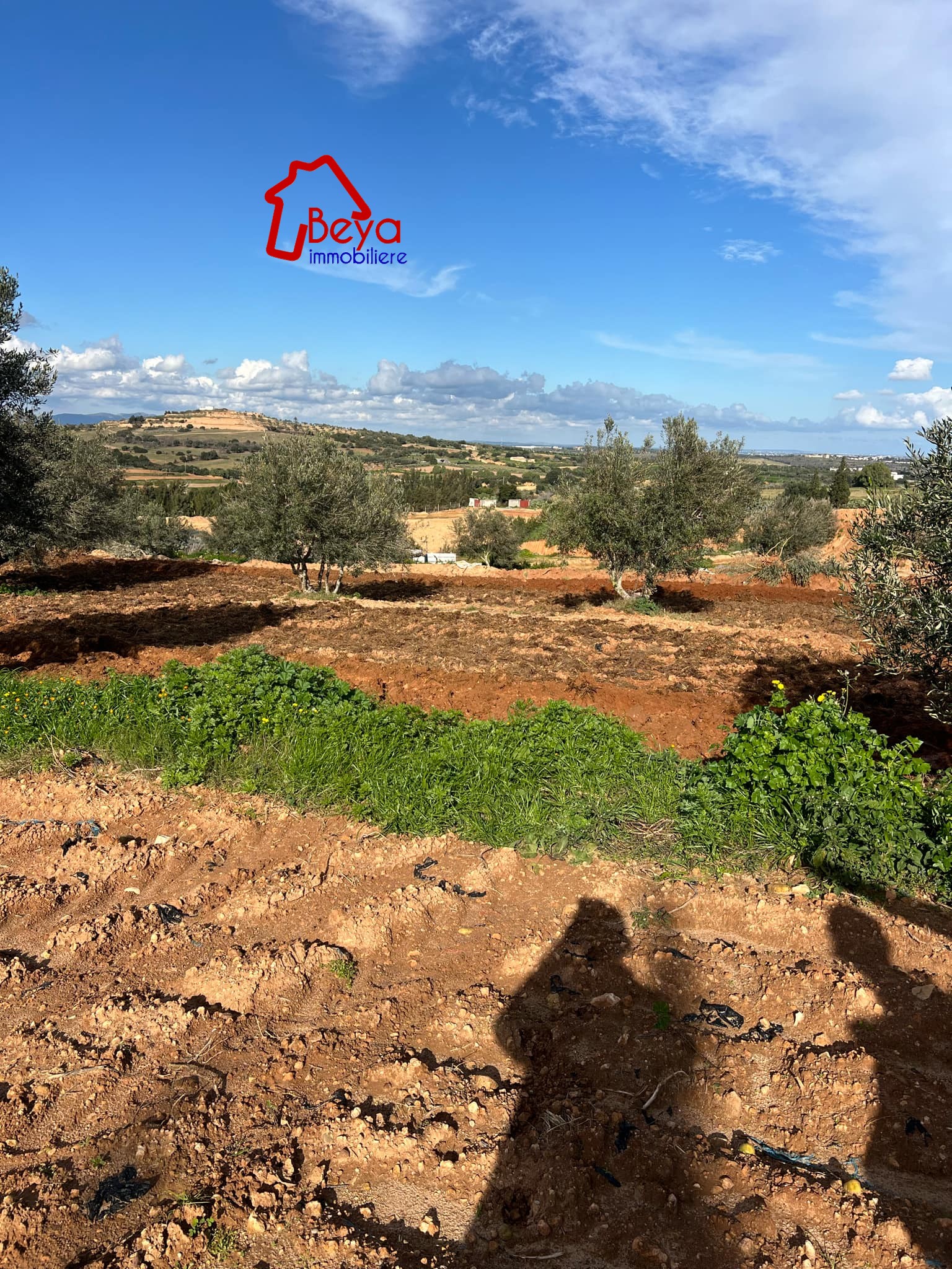 Beni Khiar Somaa Terrain Terrain agricole Terrain ital vtn037
