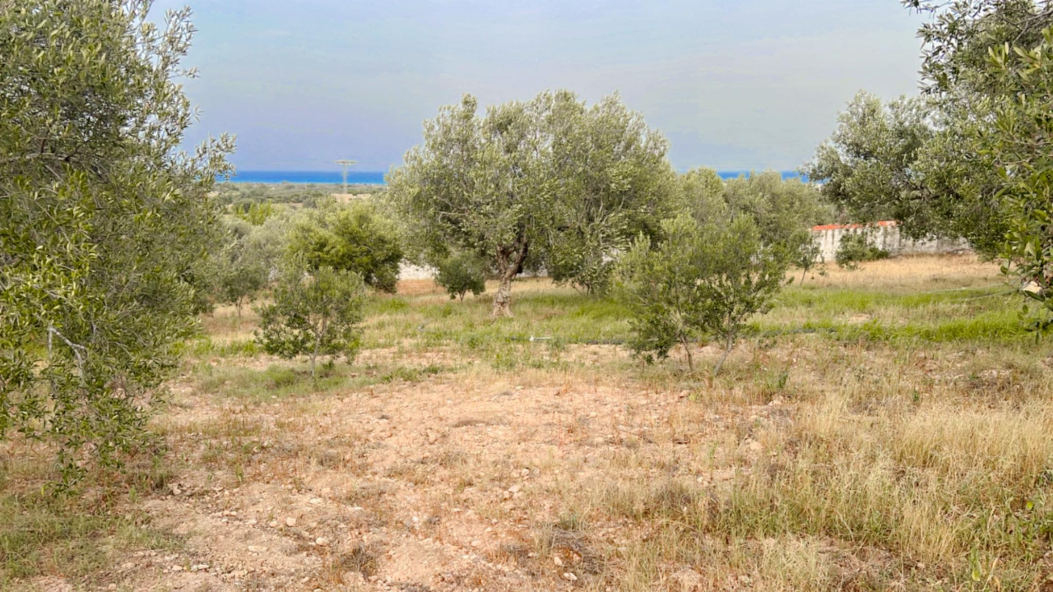 Beni Khiar El Maamoura Terrain Terrain nu Terrain fadhila vtk041