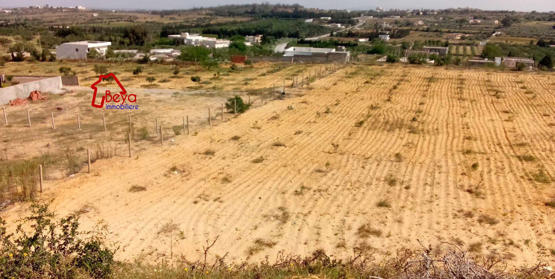 Nabeul Nabeul Terrain Terrain agricole Terrain hela vtn050
