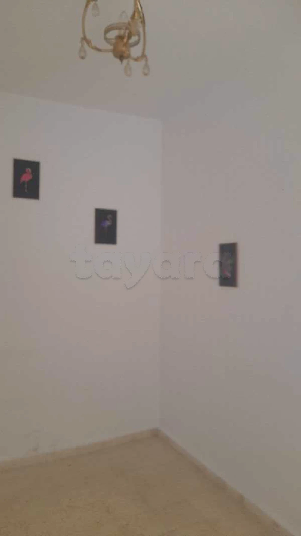 Ariana Ville El Menzah 8 Location Maisons S plus 1 a el manzah 8 wb2956