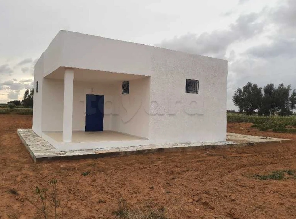 Sfax Sud El Ain Terrain Terrain agricole Boura zitoun louz
