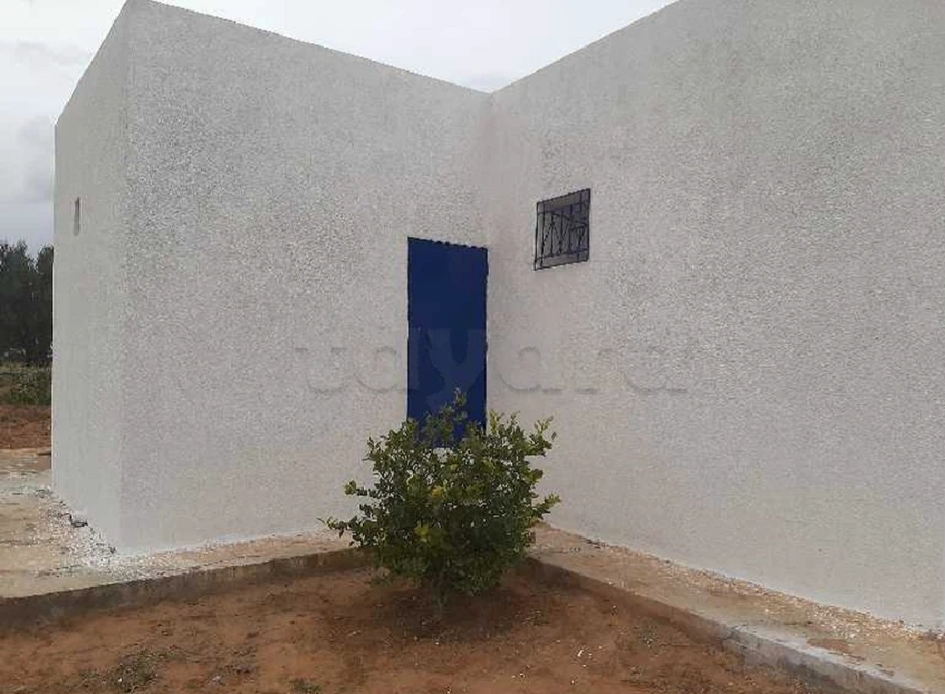 Sfax Sud El Ain Terrain Terrain agricole Boura zitoun louz
