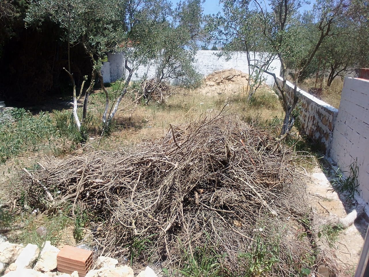 Ras Jebel Ras Jebel Vente Appart. 2 pices Maison rasjbel  terrain 308 m 2  700m de rue