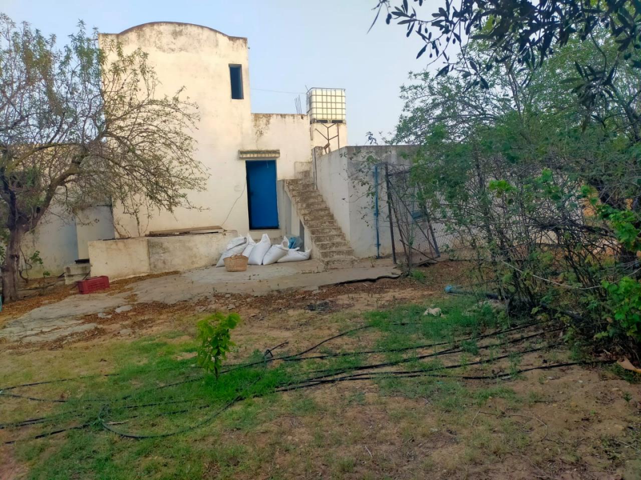 Bou Argoub Borj Hafaiedh Terrain Terrain agricole Verger 15000m2 oliviers et agrumes