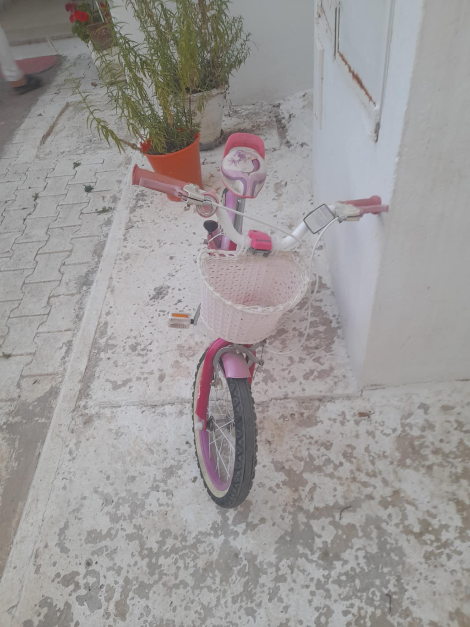 Raoued Cite El Ghazala 1 Autre Autre Bicyclette
