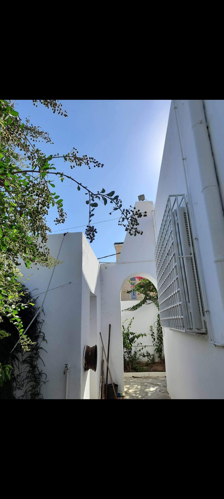 Ariana Ville Cite Ennouzha Vente Maisons Grande villa  la cit ennozha