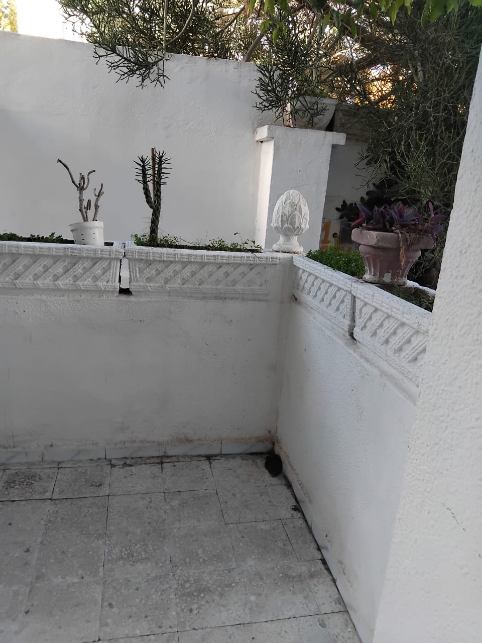 El Omrane El Omrane Location Appart. 1 pice S0 meubl  france ville prs esad et dauphine