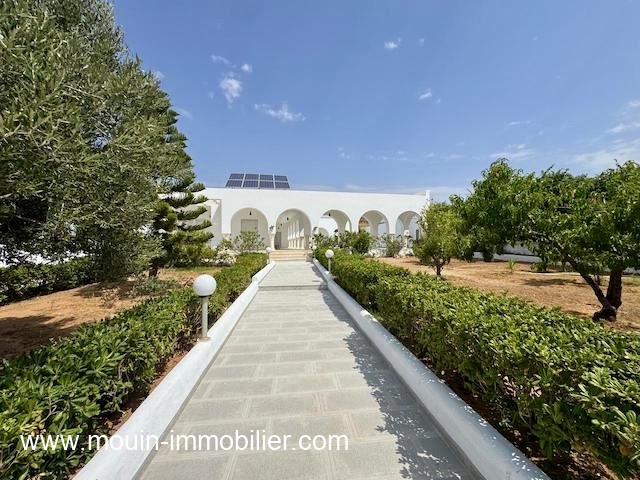 Hammamet Hammamet Vente Maisons Villa odile hammamet sud el monchar av1514