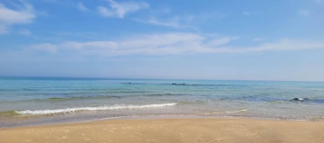 Sejnane Sejnane Terrain Terrain nu Terrain bord de mer  kef abbed bizerte