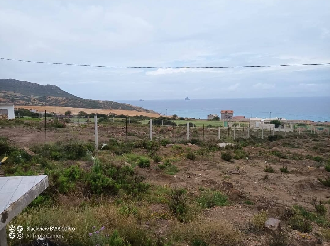 Sejnane Sejnane Terrain Terrain nu Terrain bord de mer  kef abbed bizerte