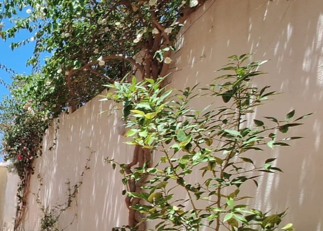 Akouda Akouda Vente Maisons Villa  l'entre akouda