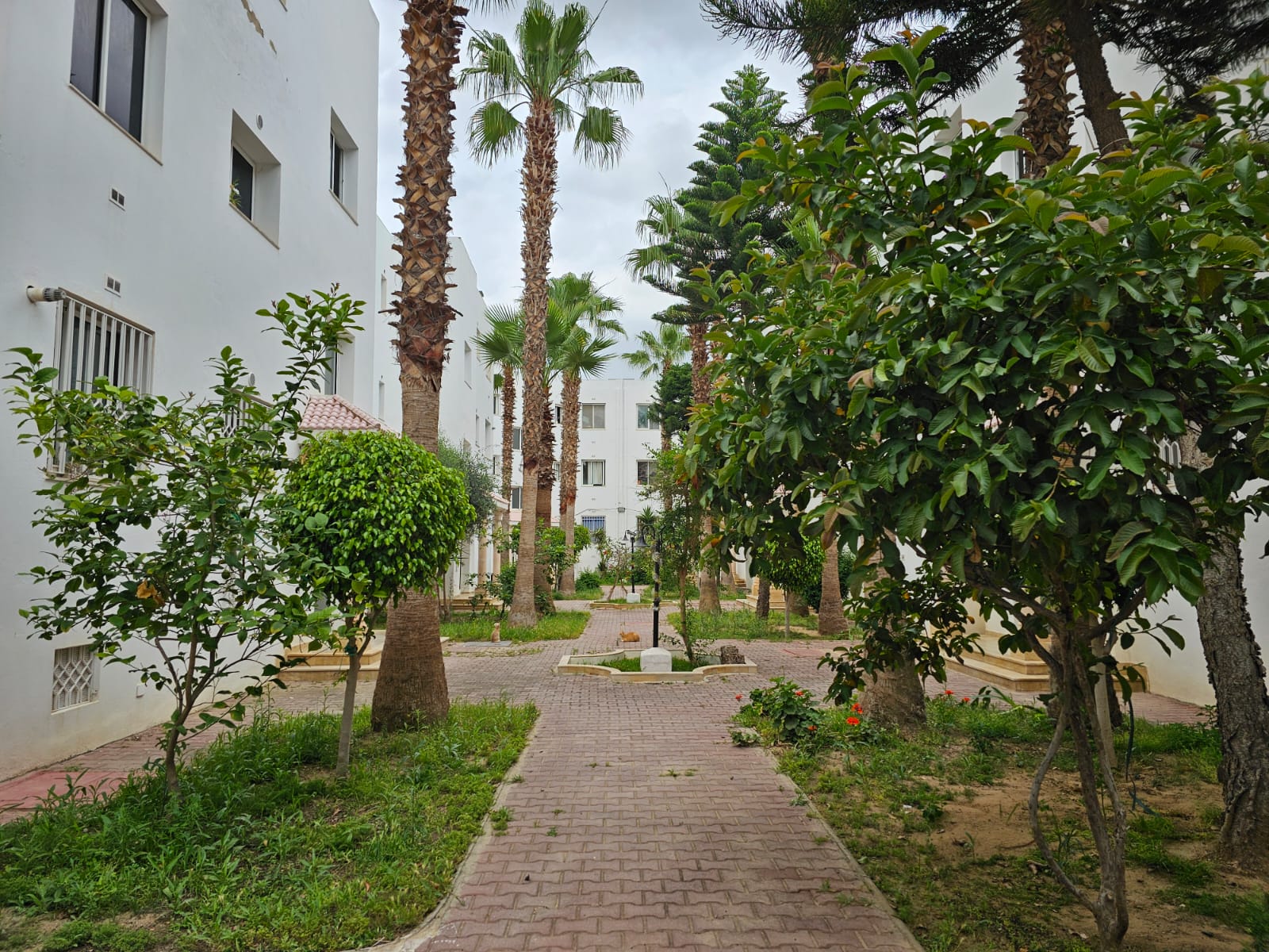La Soukra La Soukra Location Appart. 3 pices Apprt s2  la soukra rue ras jdir