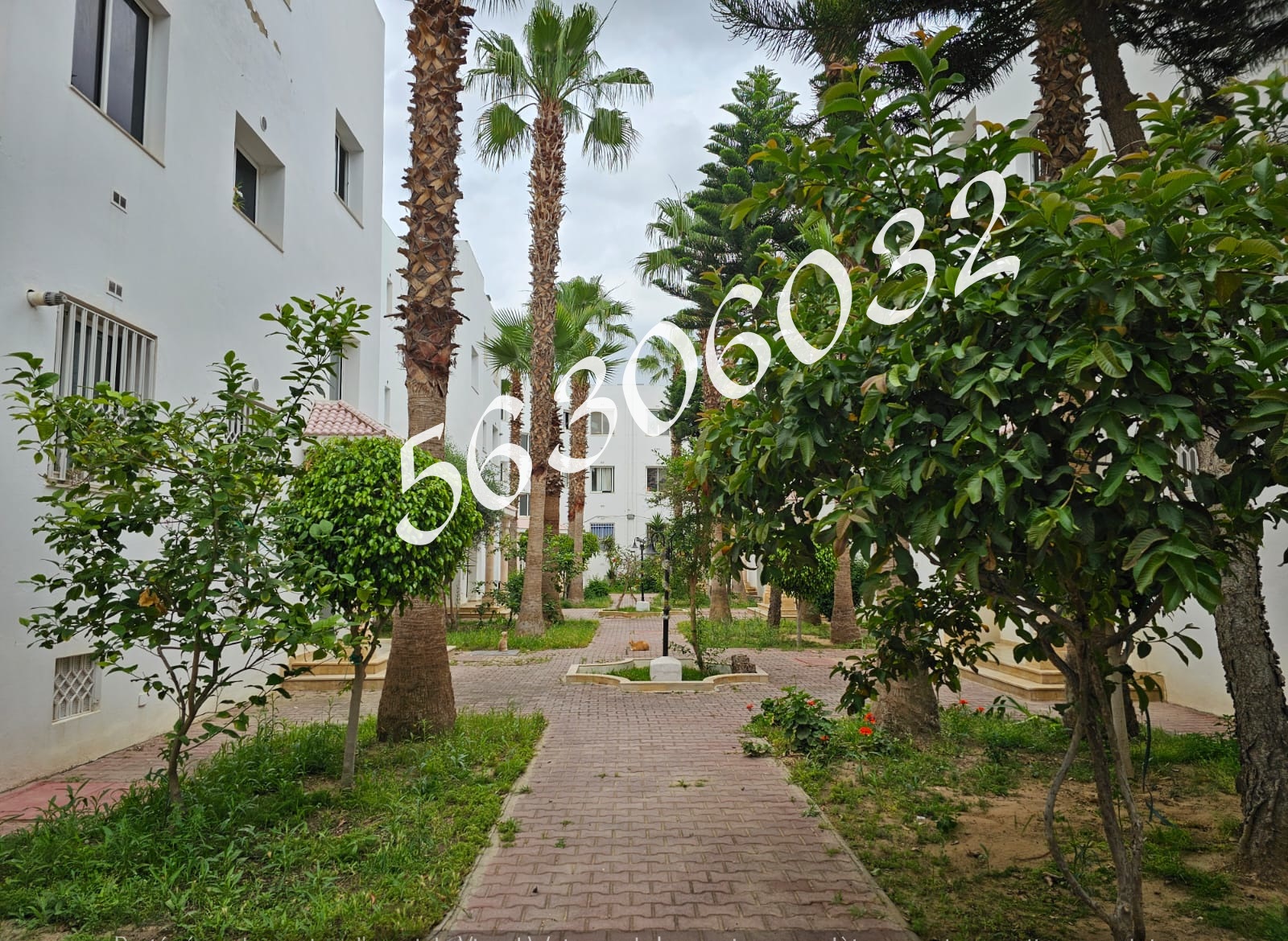La Soukra La Soukra Location Appart. 2 pices Appartement  s2  la soukra rue ras jdir