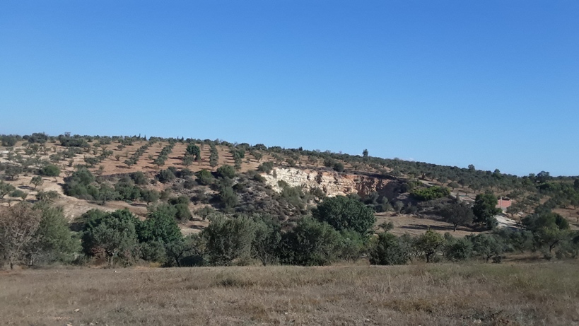 Mnihla Mnihla Terrain Terrain nu Terrains  el mnihla 600  1000 m2