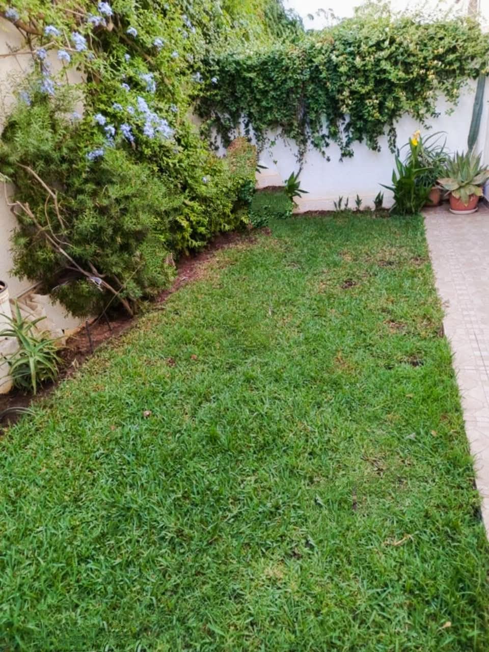 Ariana Ville Cite Ennasr 2 Location Duplex Duplex s3 bien situ  cit ennasr
