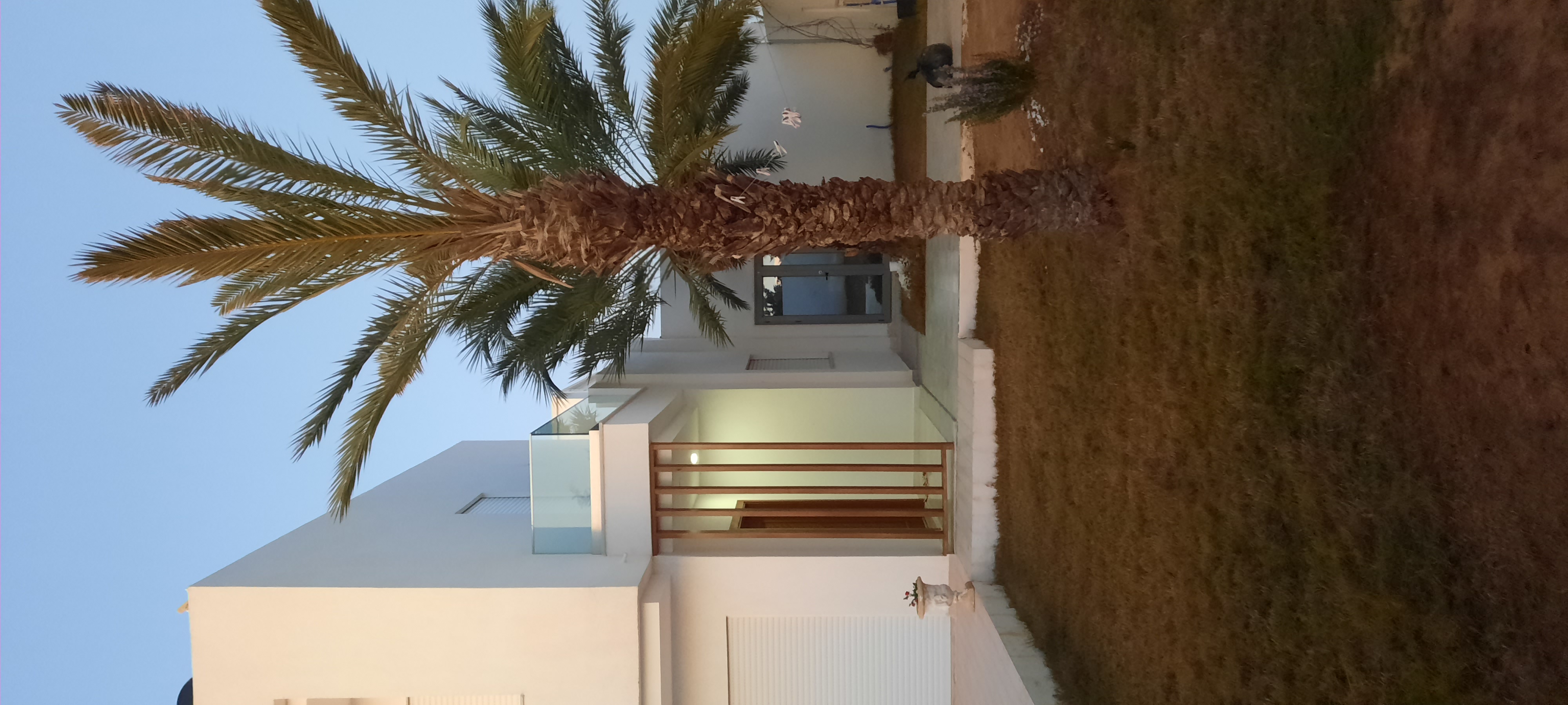 Djerba - Midoun Aghir Vente Maisons Villa miami