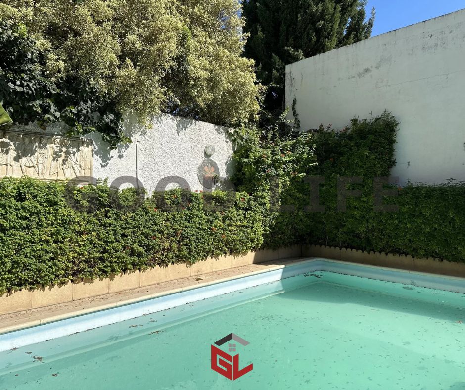 Carthage Carthage Location Maisons Superbe villa avec piscine  carthage
